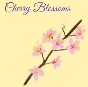 Read more about the article A love for cherry blossoms